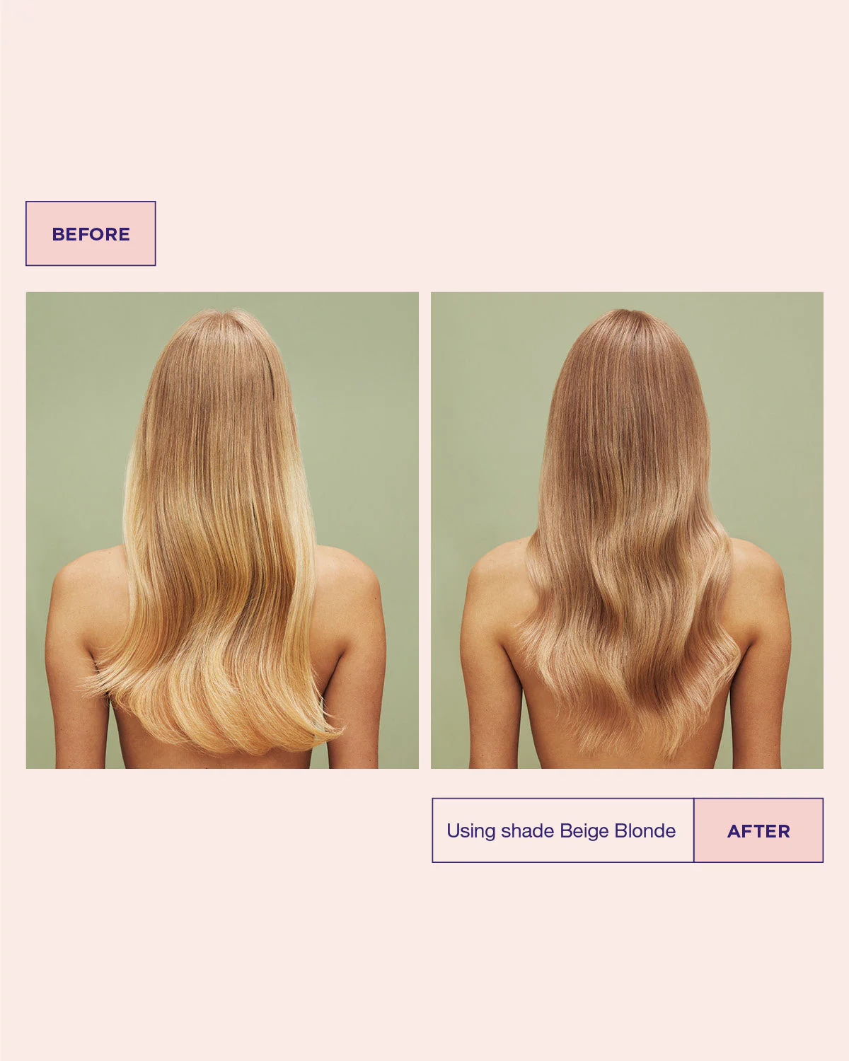 Color Refresh Beige Blonde Travel - Image 3