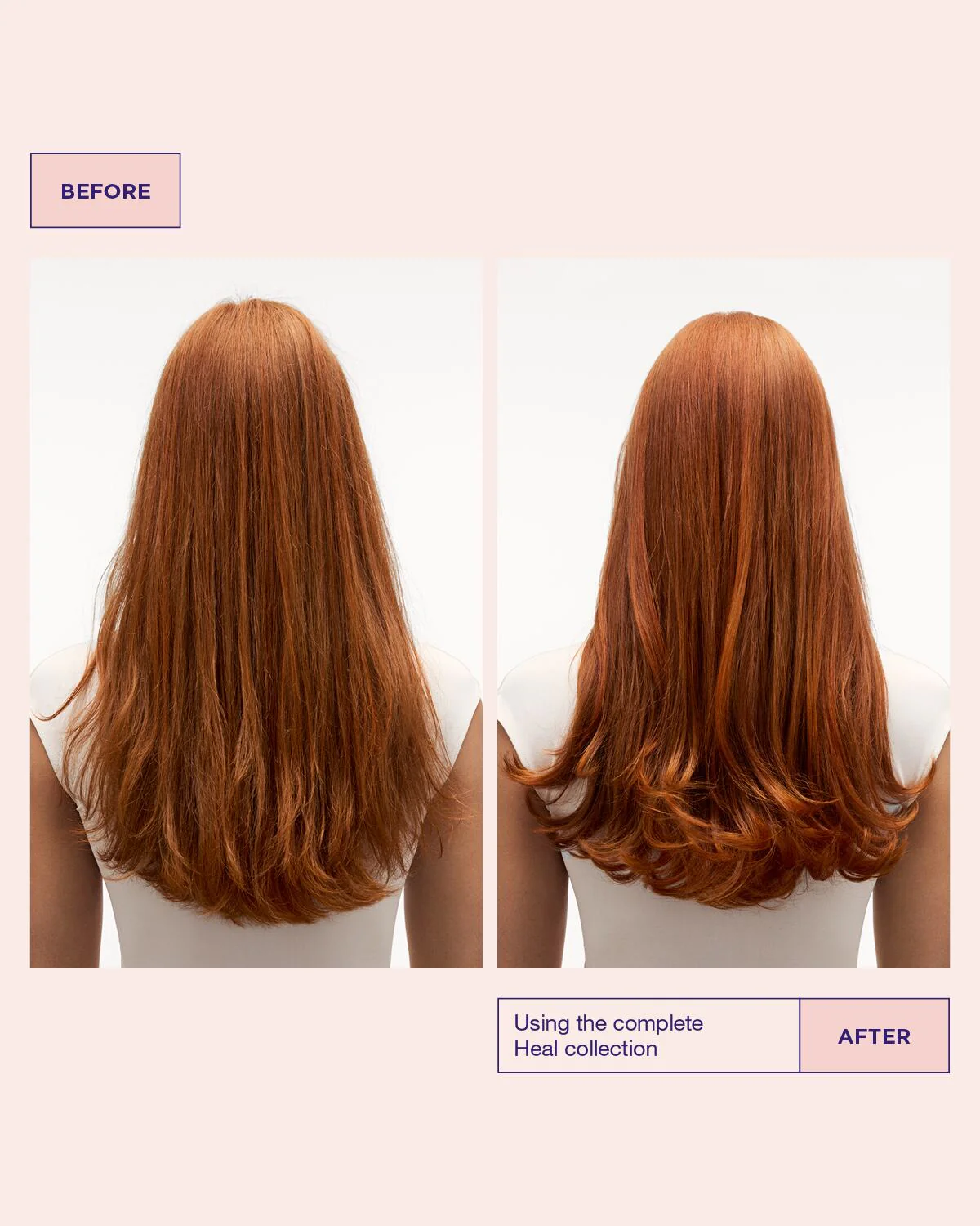 Head & Hair Heal Shampoo Liter - Image 5