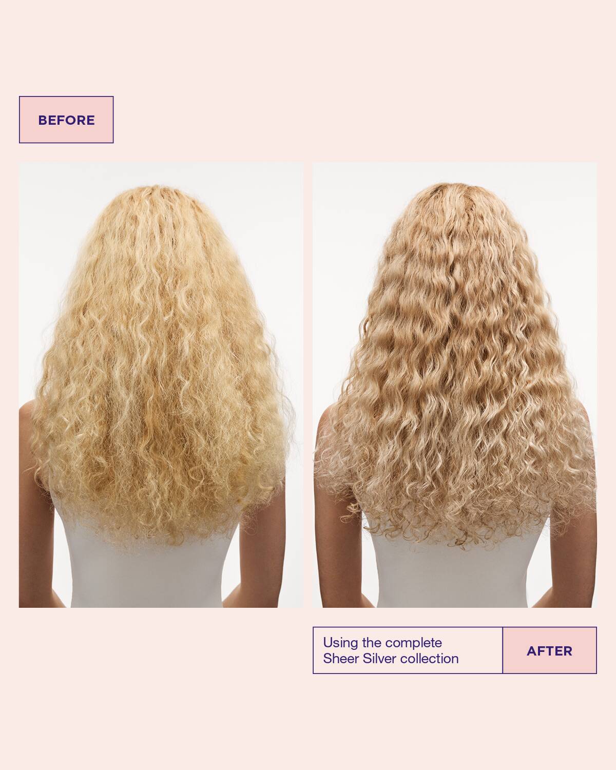 Sheer Silver Shampoo Liter - Image 4