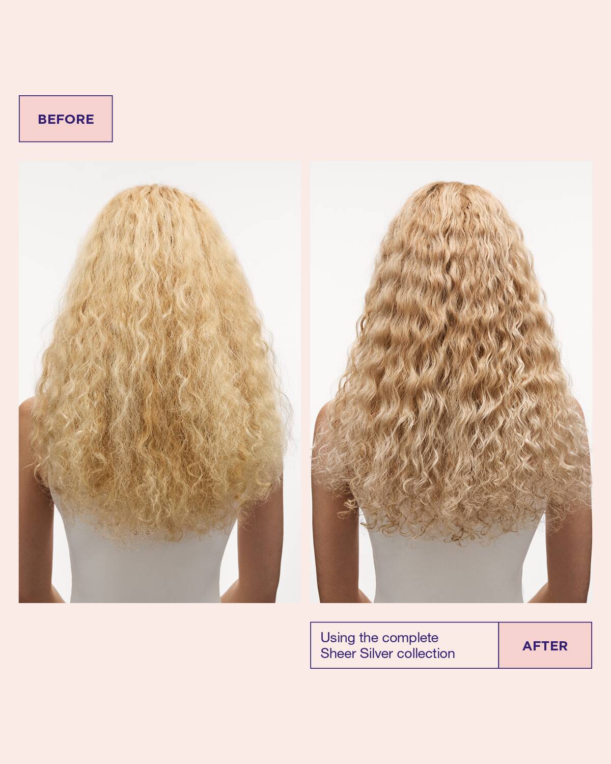 Sheer Silver Shampoo - Image 4